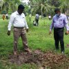 Tree Plantation at GA Bungalow